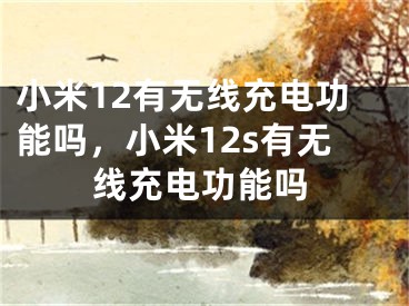 小米12有無線充電功能嗎，小米12s有無線充電功能嗎