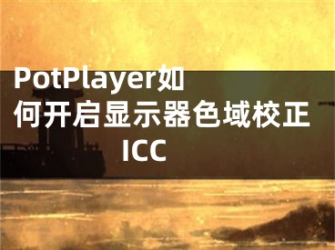 PotPlayer如何開啟顯示器色域校正ICC