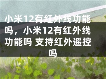 小米12有紅外線功能嗎，小米12有紅外線功能嗎 支持紅外遙控嗎