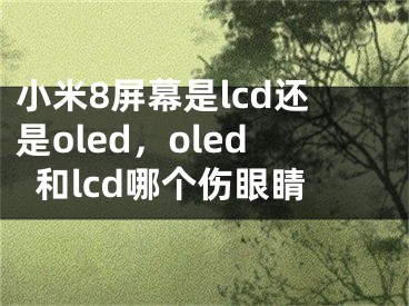 小米8屏幕是lcd還是oled，oled和lcd哪個(gè)傷眼睛