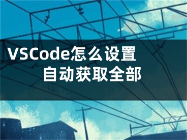 VSCode怎么設(shè)置自動(dòng)獲取全部