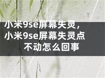 小米9se屏幕失靈，小米9se屏幕失靈點不動怎么回事