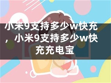 小米9支持多少w快充，小米9支持多少w快充充電寶