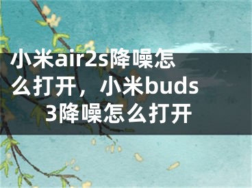 小米air2s降噪怎么打開，小米buds3降噪怎么打開