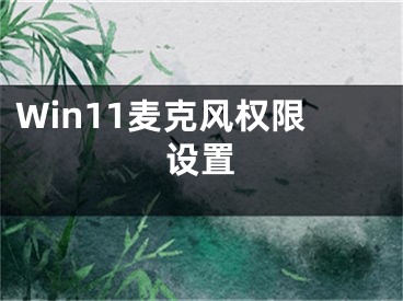 Win11麥克風(fēng)權(quán)限設(shè)置