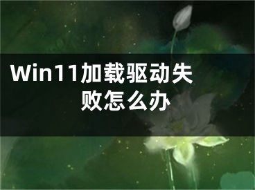 Win11加載驅(qū)動失敗怎么辦