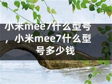 小米mee7什么型號(hào)，小米mee7什么型號(hào)多少錢