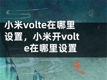 小米volte在哪里設(shè)置，小米開volte在哪里設(shè)置