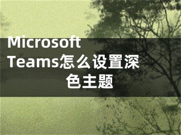 Microsoft Teams怎么設(shè)置深色主題