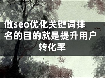 做seo優(yōu)化關(guān)鍵詞排名的目的就是提升用戶轉(zhuǎn)化率