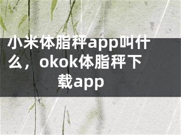 小米體脂秤app叫什么，okok體脂秤下載app