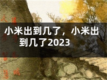 小米出到幾了，小米出到幾了2023