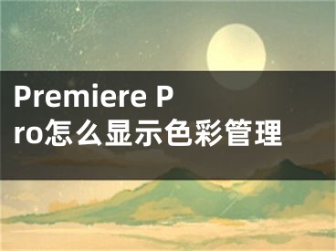 Premiere Pro怎么顯示色彩管理