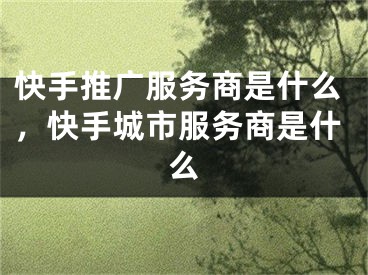 快手推廣服務(wù)商是什么，快手城市服務(wù)商是什么