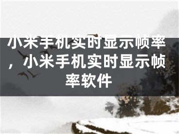 小米手機實時顯示幀率，小米手機實時顯示幀率軟件