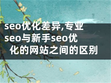 seo優(yōu)化差異,專業(yè)seo與新手seo優(yōu)化的網(wǎng)站之間的區(qū)別