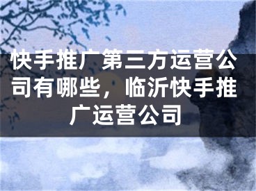 快手推廣第三方運營公司有哪些，臨沂快手推廣運營公司