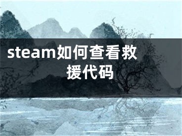 steam如何查看救援代碼