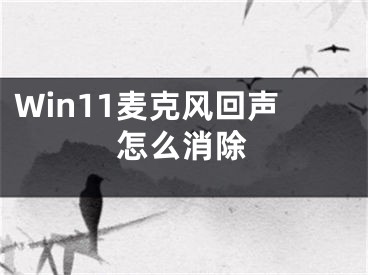 Win11麥克風(fēng)回聲怎么消除