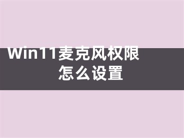 Win11麥克風(fēng)權(quán)限怎么設(shè)置