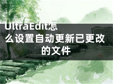 UltraEdit怎么設(shè)置自動(dòng)更新已更改的文件