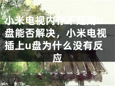 小米電視內(nèi)存不足用u盤能否解決，小米電視插上u盤為什么沒有反應(yīng)