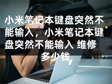 小米筆記本鍵盤突然不能輸入，小米筆記本鍵盤突然不能輸入 維修多少錢