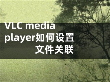 VLC media player如何設(shè)置文件關(guān)聯(lián)