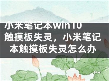 小米筆記本win10觸摸板失靈，小米筆記本觸摸板失靈怎么辦