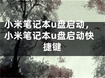 小米筆記本u盤啟動，小米筆記本u盤啟動快捷鍵