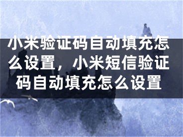 小米驗(yàn)證碼自動(dòng)填充怎么設(shè)置，小米短信驗(yàn)證碼自動(dòng)填充怎么設(shè)置