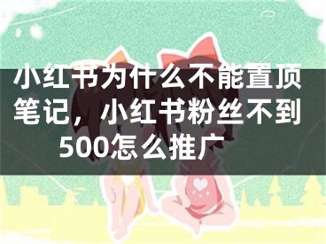 小紅書為什么不能置頂筆記，小紅書粉絲不到500怎么推廣