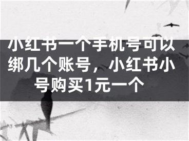 小紅書(shū)一個(gè)手機(jī)號(hào)可以綁幾個(gè)賬號(hào)，小紅書(shū)小號(hào)購(gòu)買(mǎi)1元一個(gè)