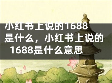 小紅書上說的1688是什么，小紅書上說的1688是什么意思