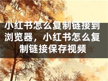 小紅書(shū)怎么復(fù)制鏈接到瀏覽器，小紅書(shū)怎么復(fù)制鏈接保存視頻