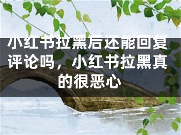 小紅書拉黑后還能回復(fù)評論嗎，小紅書拉黑真的很惡心