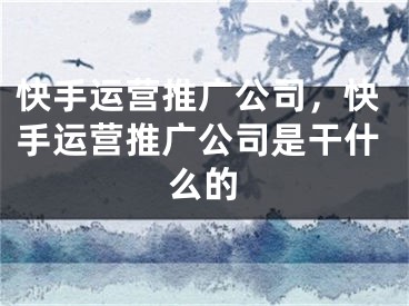 快手運(yùn)營推廣公司，快手運(yùn)營推廣公司是干什么的