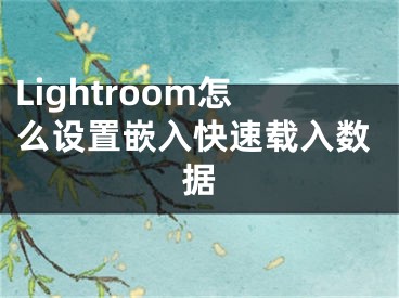 Lightroom怎么設置嵌入快速載入數(shù)據(jù)