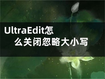 UltraEdit怎么關閉忽略大小寫