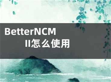 BetterNCM II怎么使用