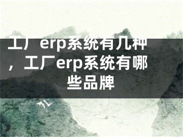 工廠erp系統(tǒng)有幾種，工廠erp系統(tǒng)有哪些品牌