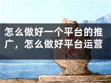 怎么做好一個平臺的推廣，怎么做好平臺運營