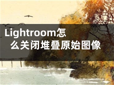 Lightroom怎么關(guān)閉堆疊原始圖像