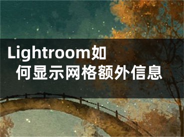 Lightroom如何顯示網(wǎng)格額外信息