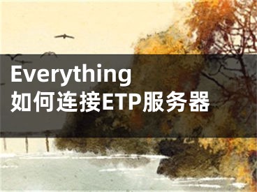 Everything如何連接ETP服務(wù)器