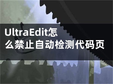 UltraEdit怎么禁止自動檢測代碼頁