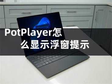 PotPlayer怎么顯示浮窗提示