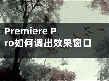 Premiere Pro如何調出效果窗口