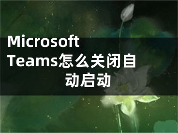 Microsoft Teams怎么關(guān)閉自動(dòng)啟動(dòng)