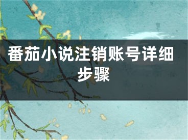 番茄小說(shuō)注銷賬號(hào)詳細(xì)步驟